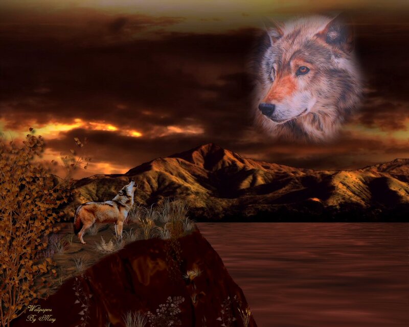 Wolf Howling at Sunset — Brown
