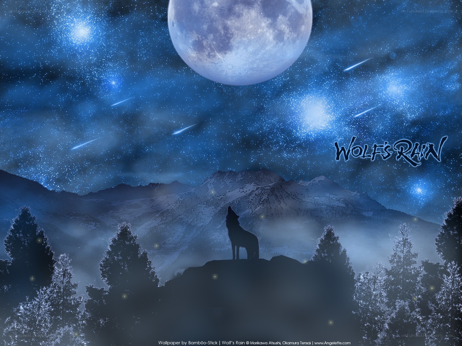 Wolf Howling at the Moon