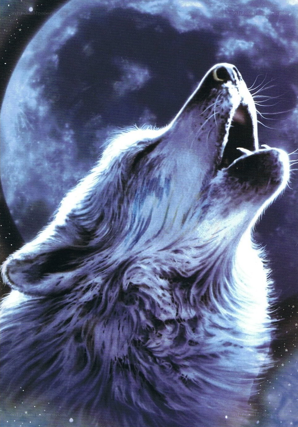 wolf howling at the moon