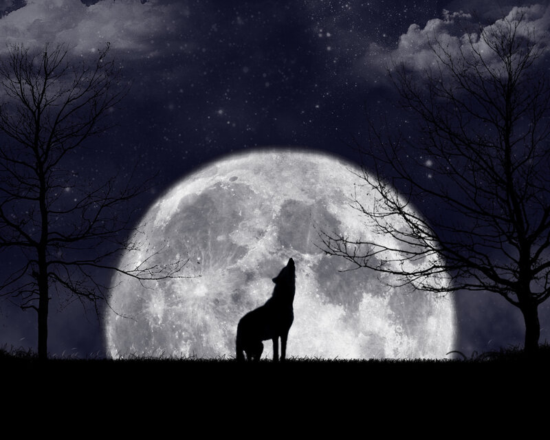 wolf howling at the moon