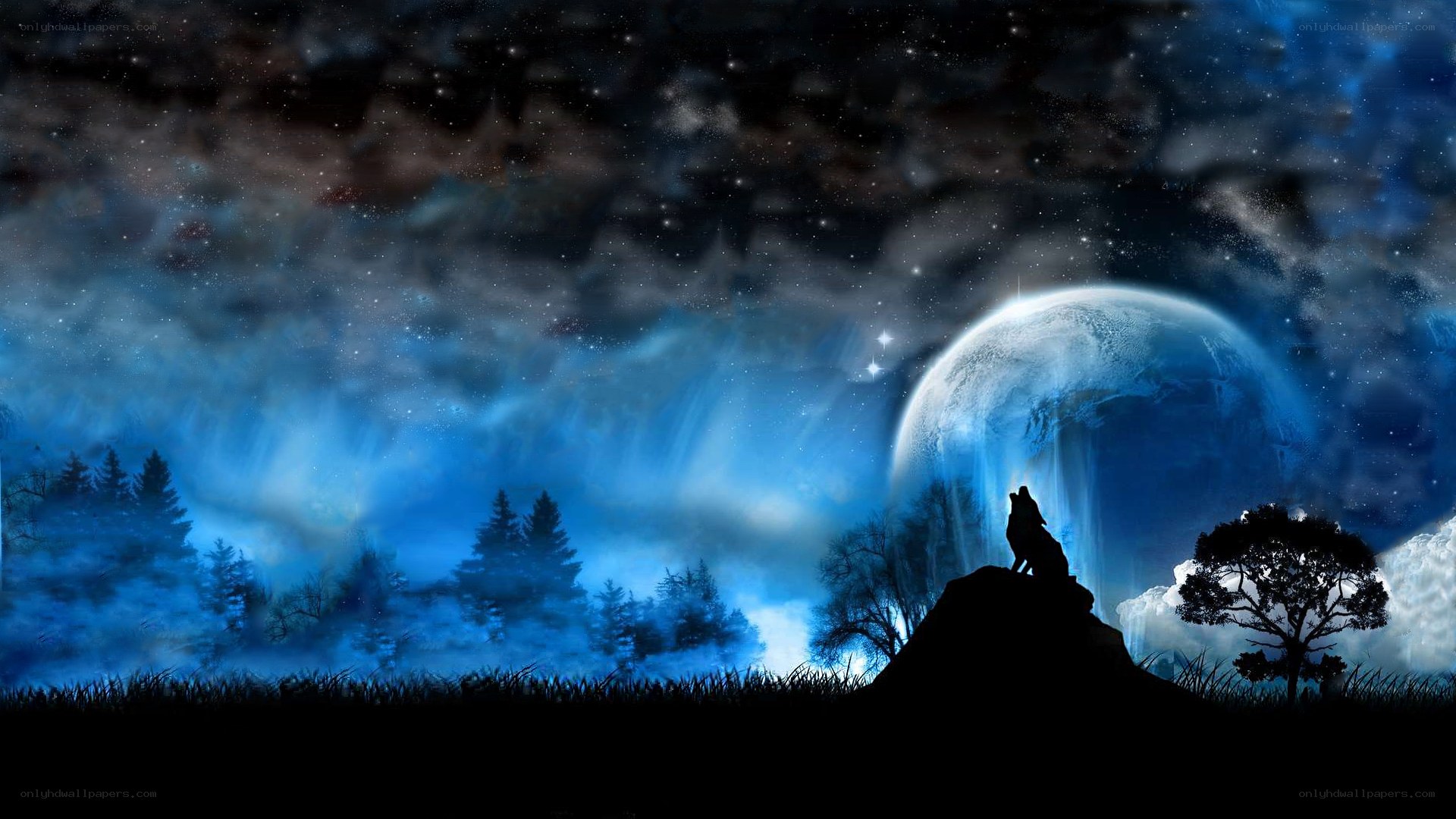 wolf howling at the moon