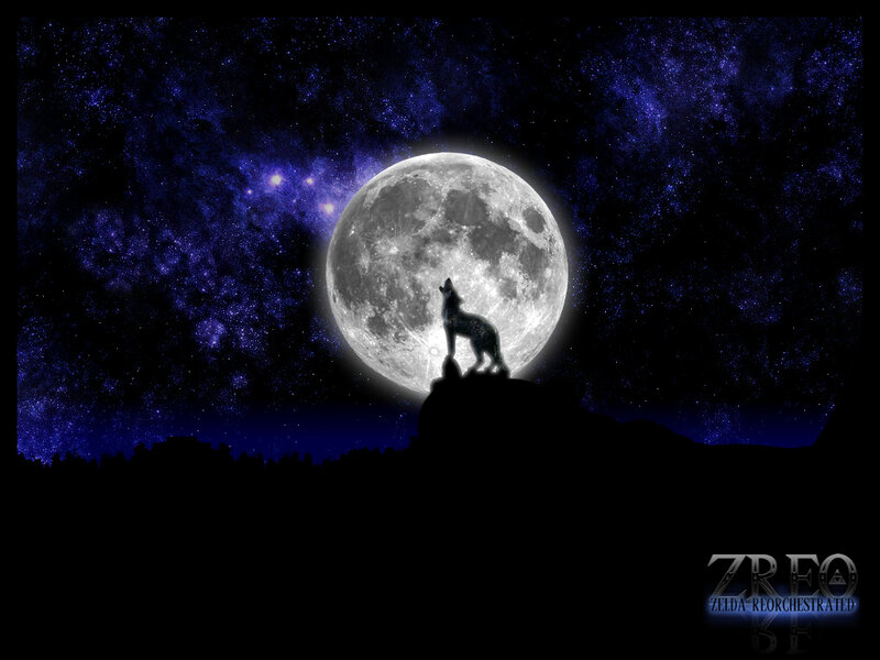 wolf howling at the moon