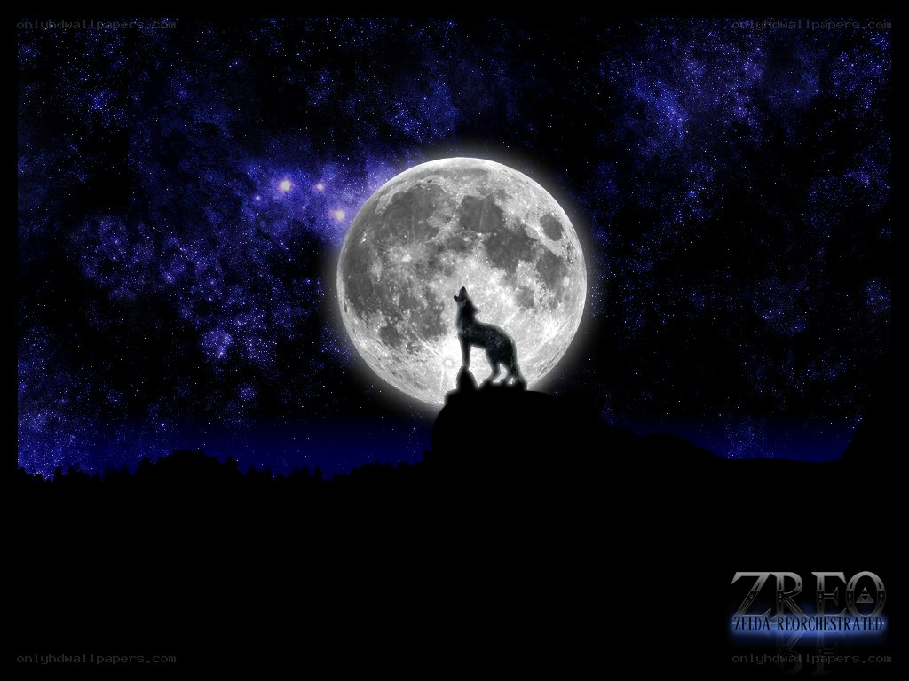 wolf howling at the moon