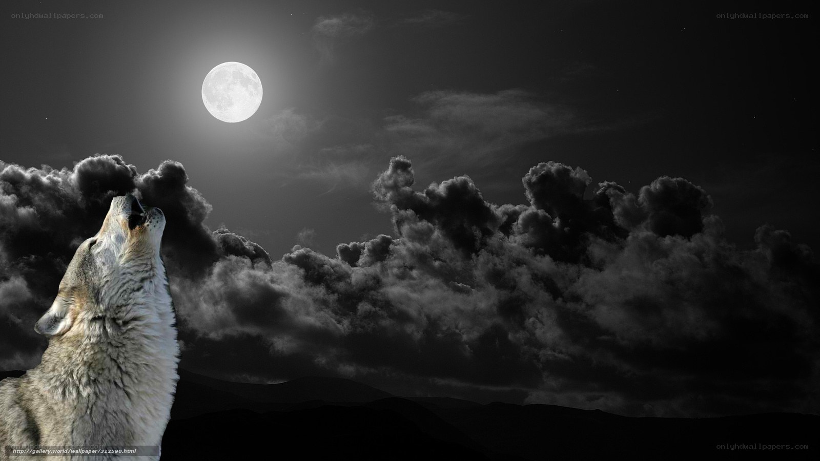 wolf howling at the moon