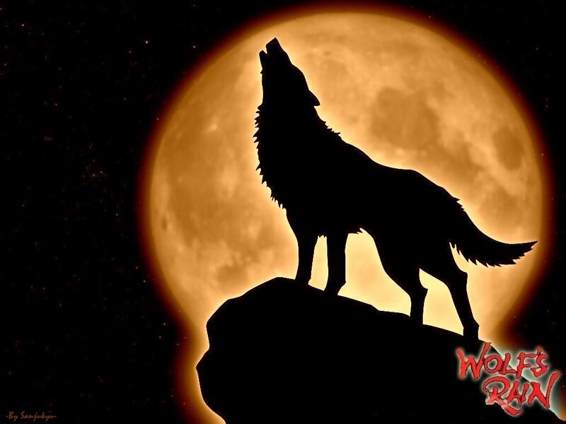 wolf howling at the moon