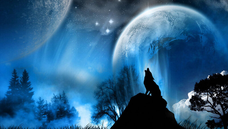 wolf howling at the moon