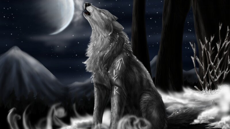 wolf howling at the moon
