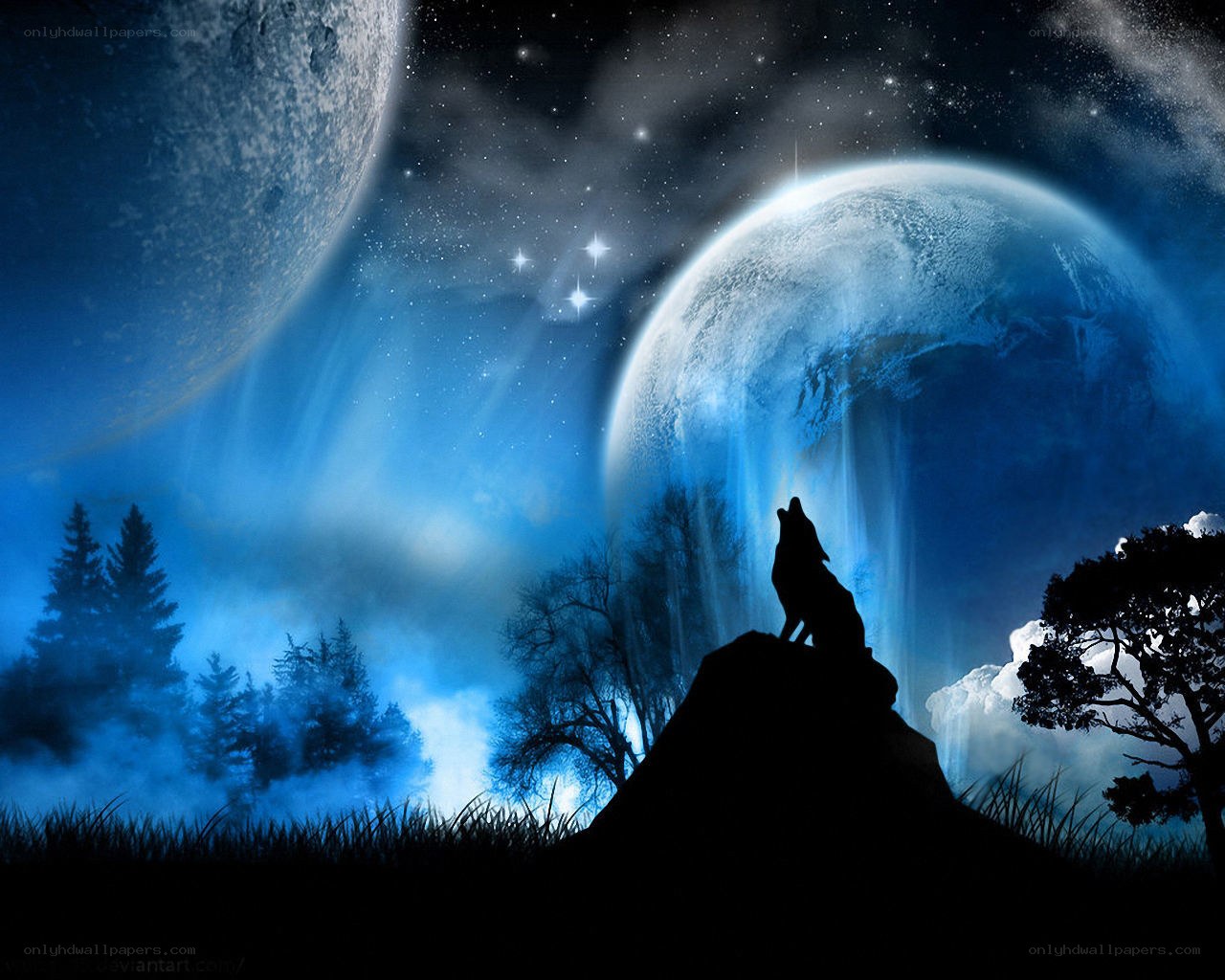 Wolf howling at the moon