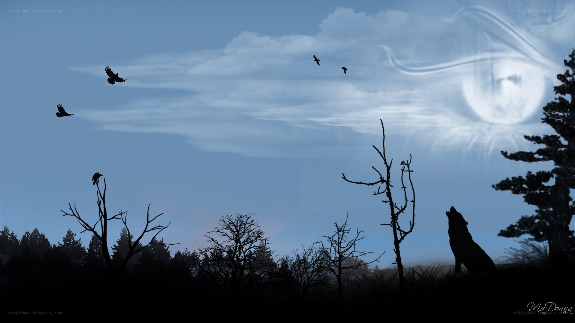 wolf howling at the moon