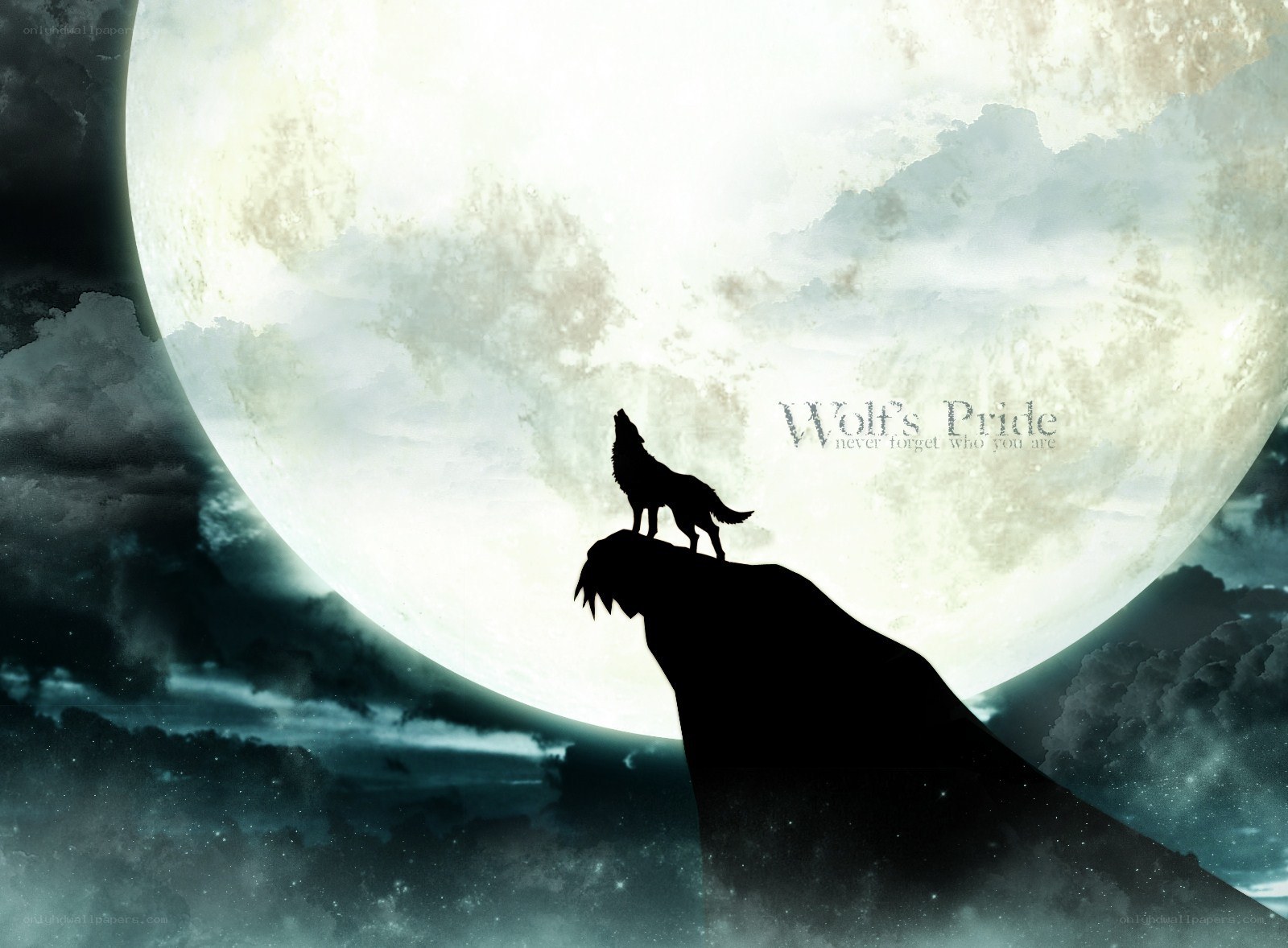 Wolf howling at the moon