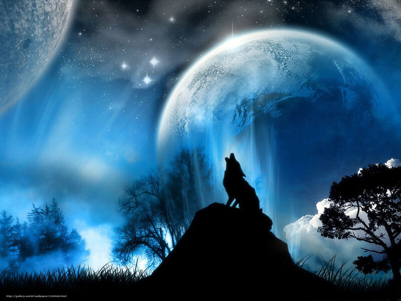Wolf howling at the moon