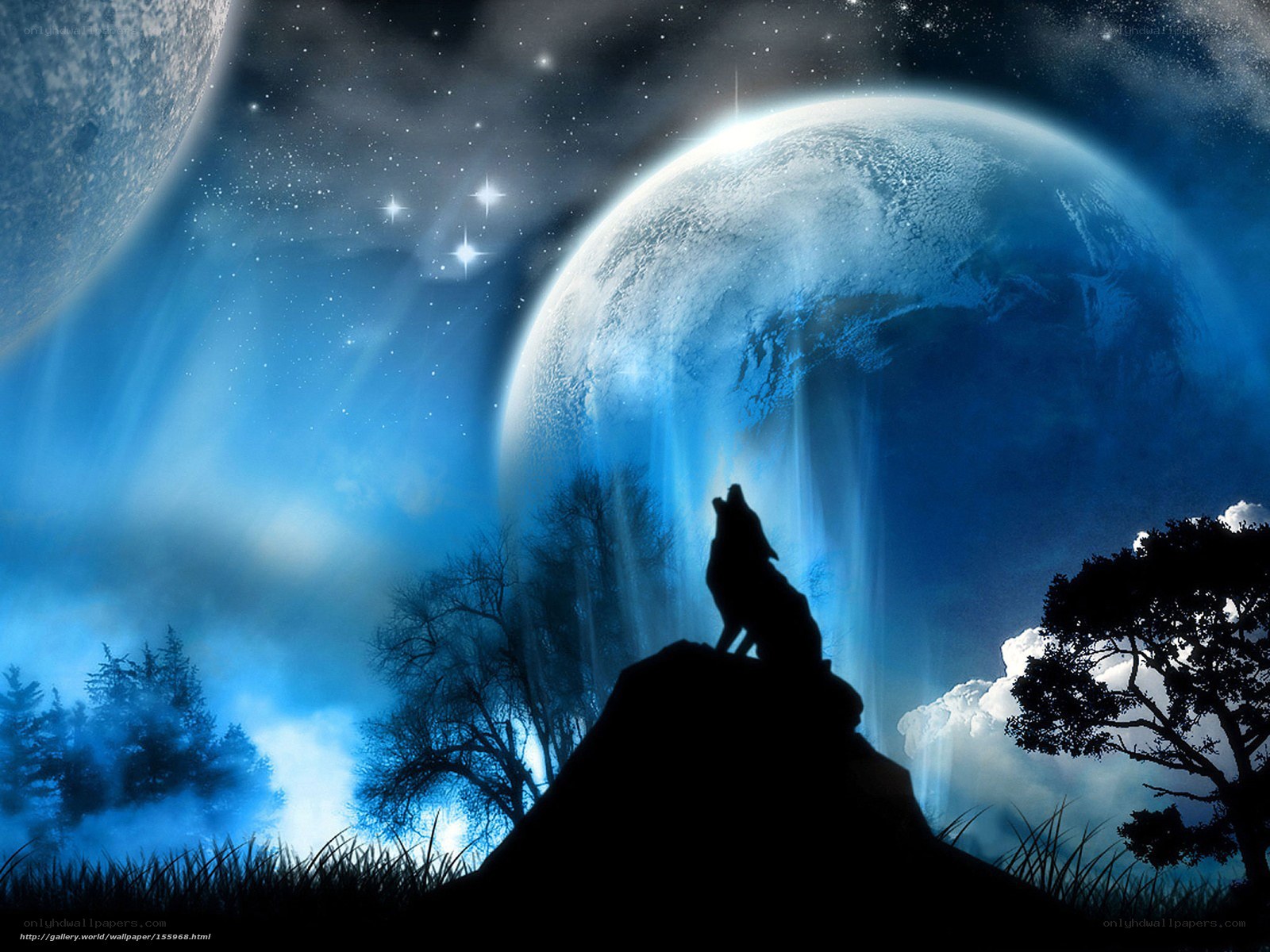 Wolf howling at the moon