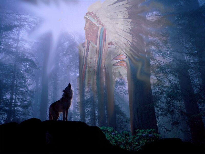 Wolf howling in forest