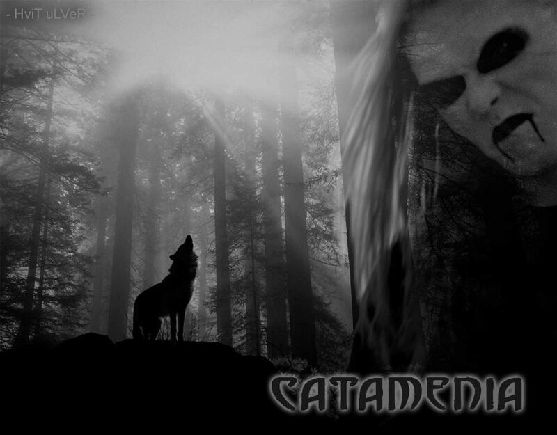 Wolf Howling in Forest — Black, Dark, Eerie