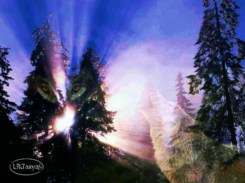 Wolf Howling in Forest — Blue, Dramatic, Night