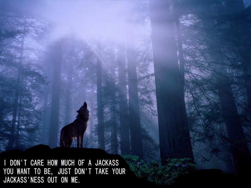 Wolf Howling in Forest — Blue, Dramatic