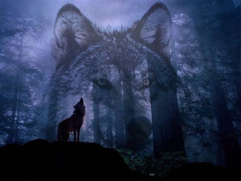 Wolf Howling in Forest — Blue, Mysterious, Night, Digital Art