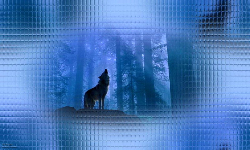 Wolf Howling in Forest — Blue