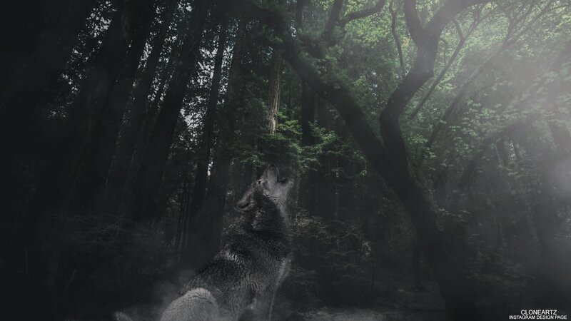 Wolf Howling in Forest — Green