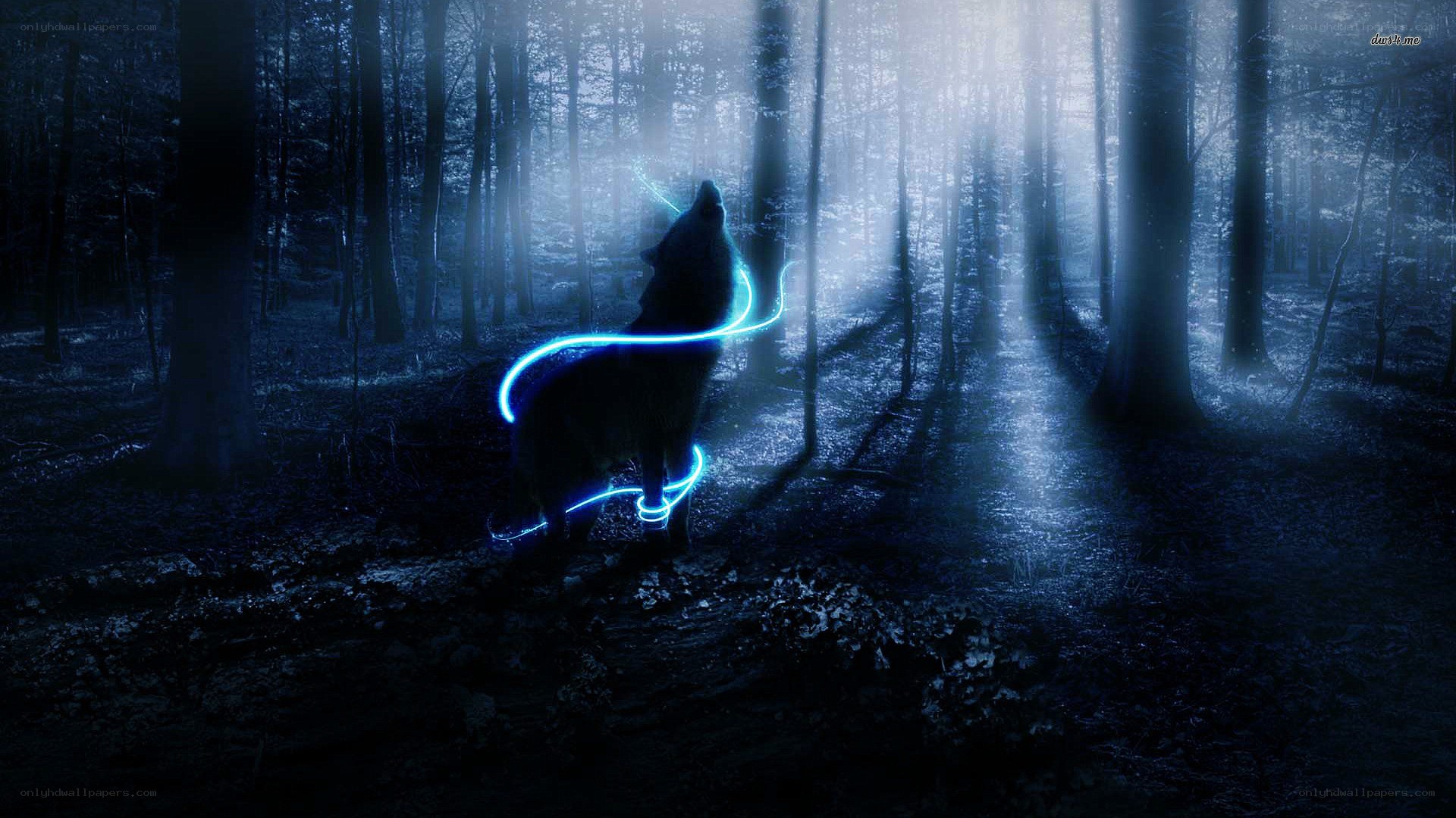 wolf howling in misty forest