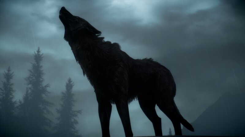 wolf howling in storm