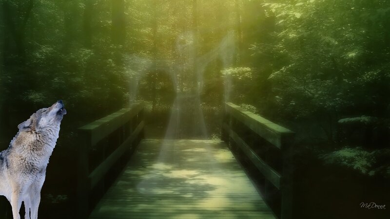 Wolf Howling on Bridge
