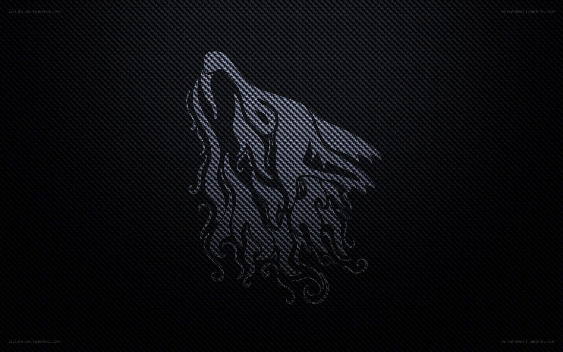 wolf howling on carbon fiber