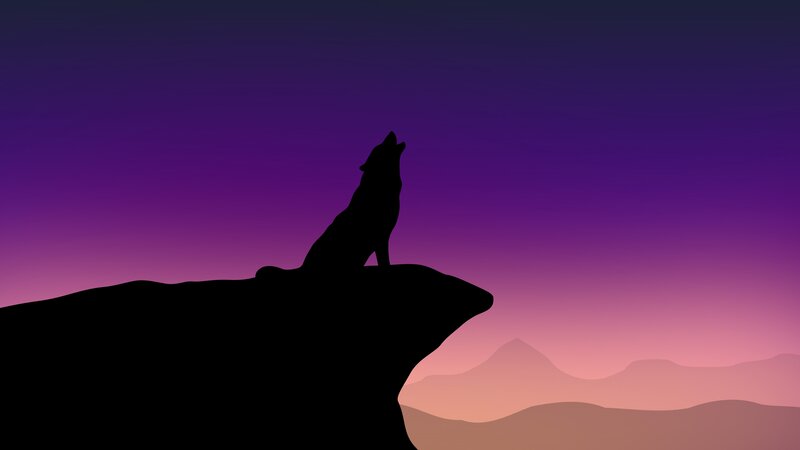 Wolf Howling on Cliff