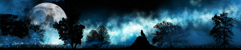 Wolf Howling on Hill