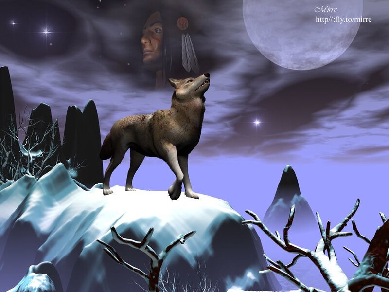 Wolf Howling on Mountain