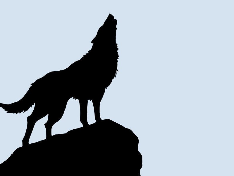Wolf Howling on Rock — Black, Silhouette