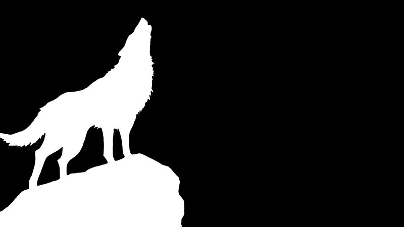 Wolf Howling on Rock — White