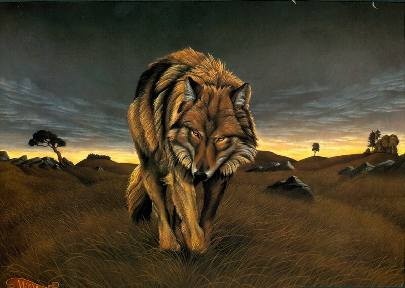 Wolf in a Field — Brown, Dramatic