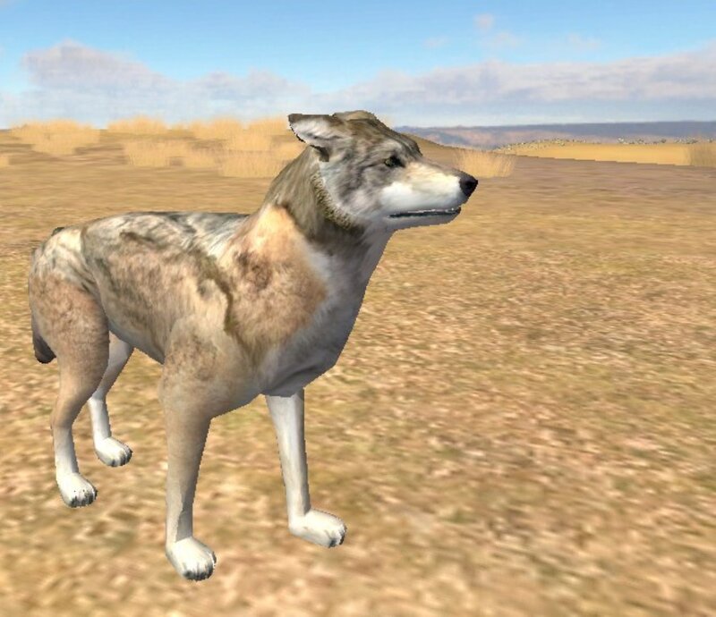 Wolf in a Field — Brown, Neutral