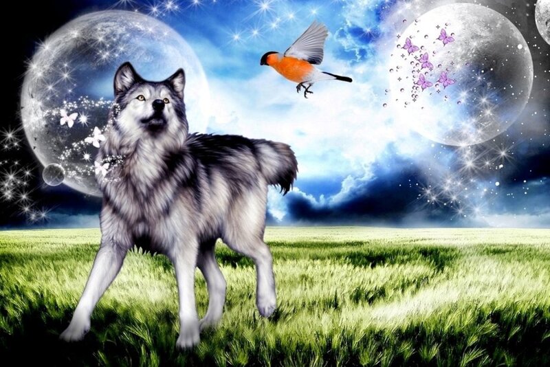 Wolf in a Field — Green, Fantasy