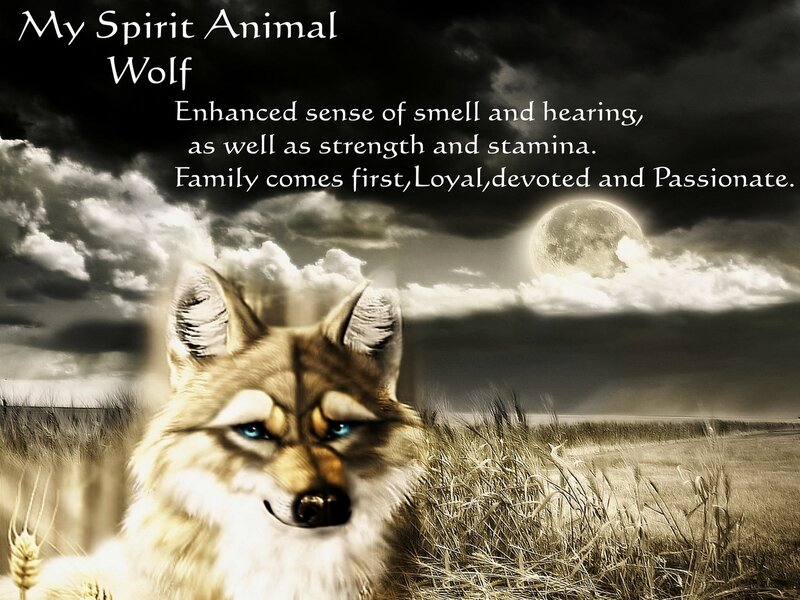 Wolf in a Field