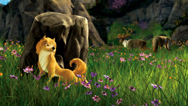 wolf in a flower field