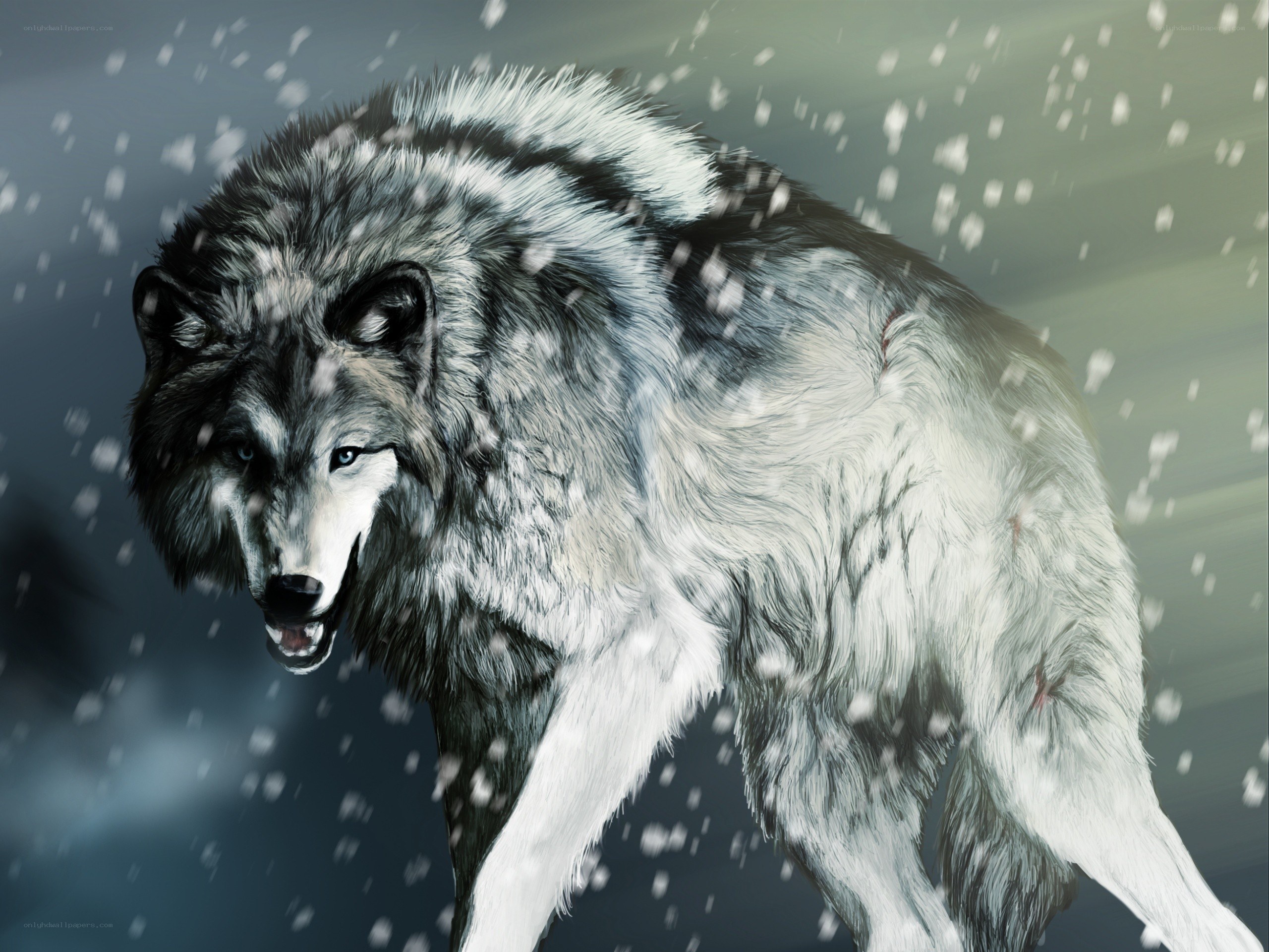 wolf in a snowstorm
