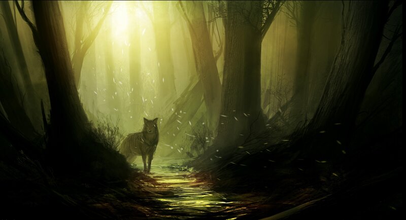 wolf in a sunlit forest
