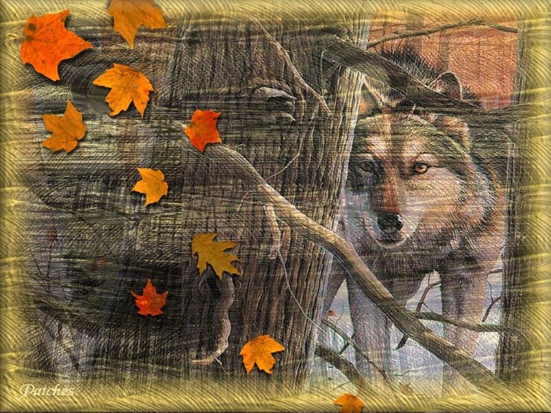 Wolf in Autumn Forest — Brown, Natural, Digital Art