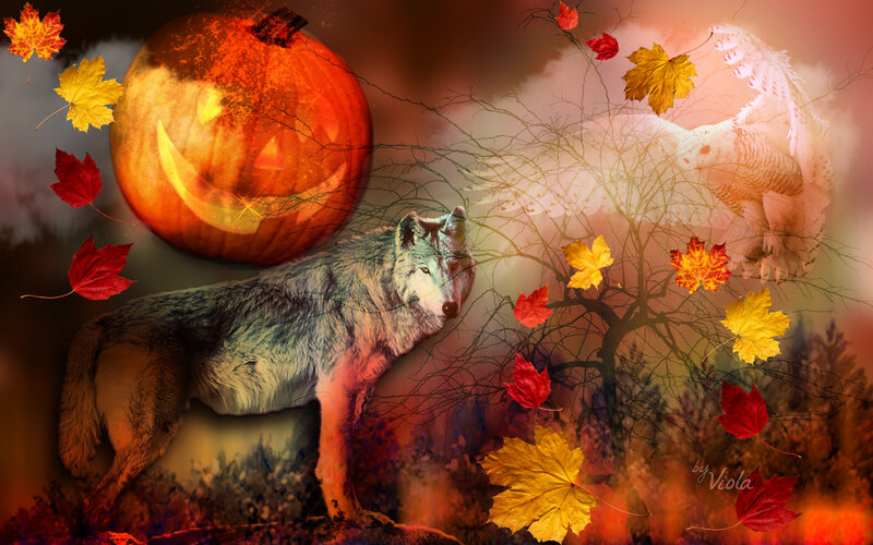 Wolf in Autumn Forest — Orange