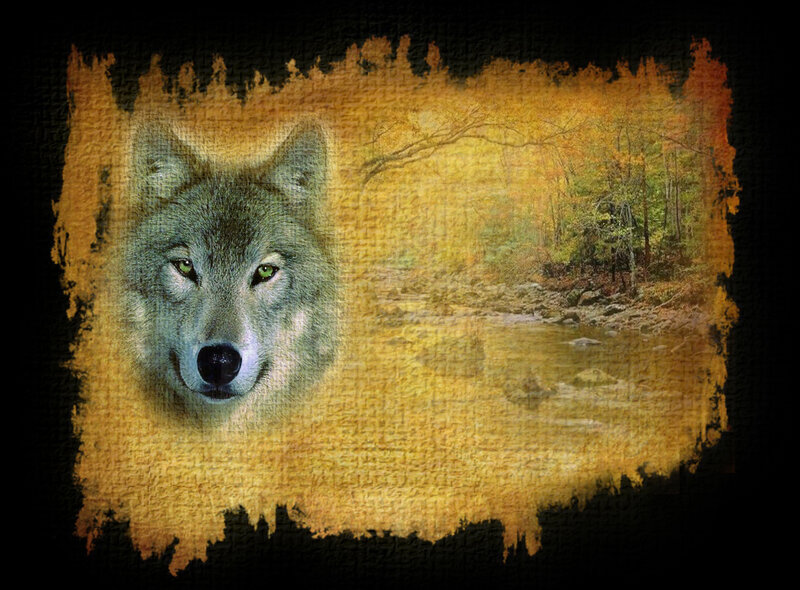 Wolf in Autumn Forest — Yellow