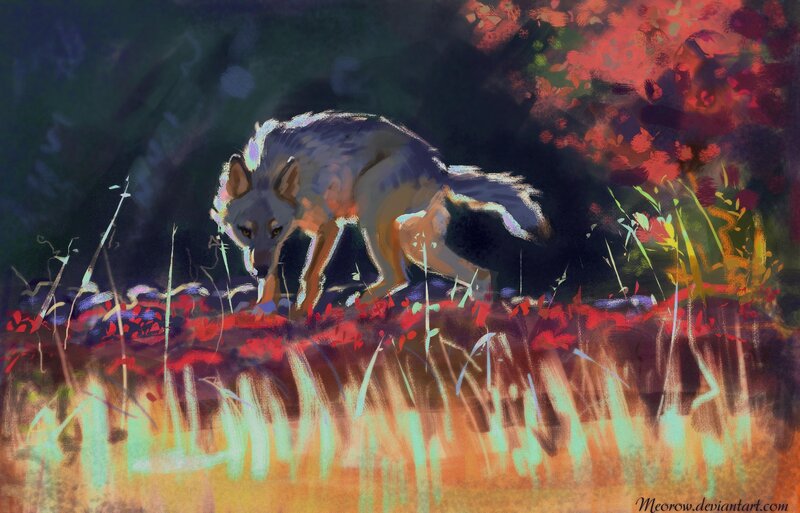 Wolf in Autumn Grass — Red