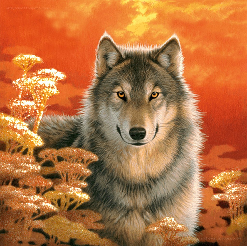 wolf in autumn landscape