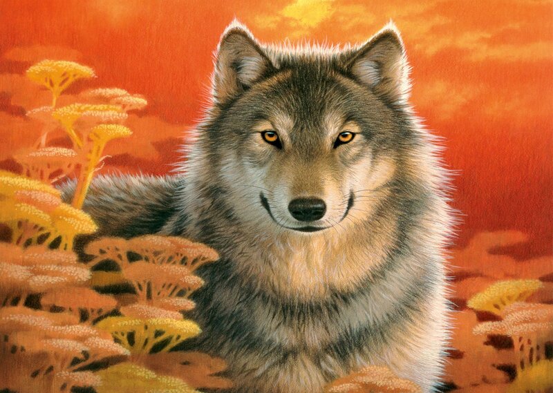 Wolf in Autumn Landscape — Orange, Dramatic