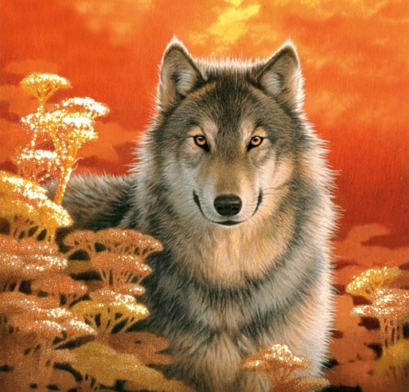 Wolf in Autumn Landscape — Orange