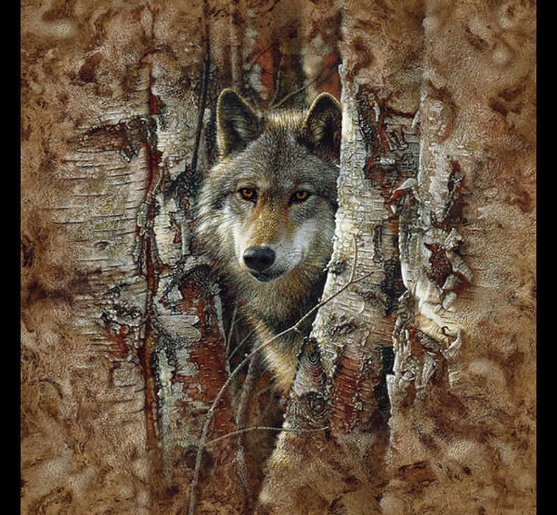 wolf in birch forest