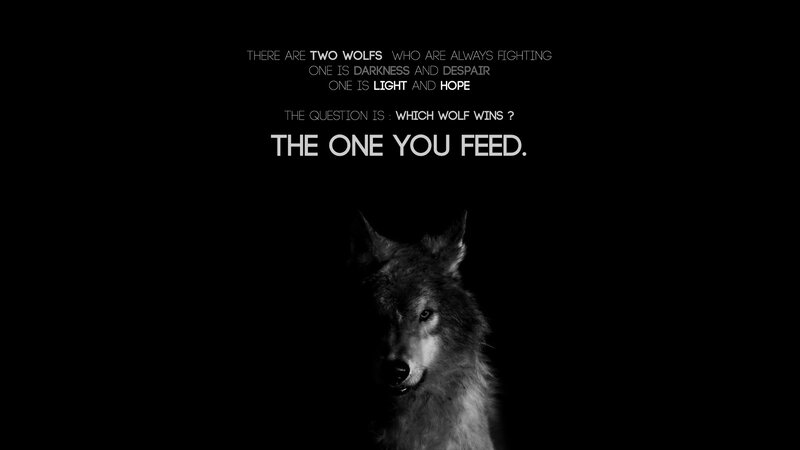 Wolf in Black and White — Dramatic
