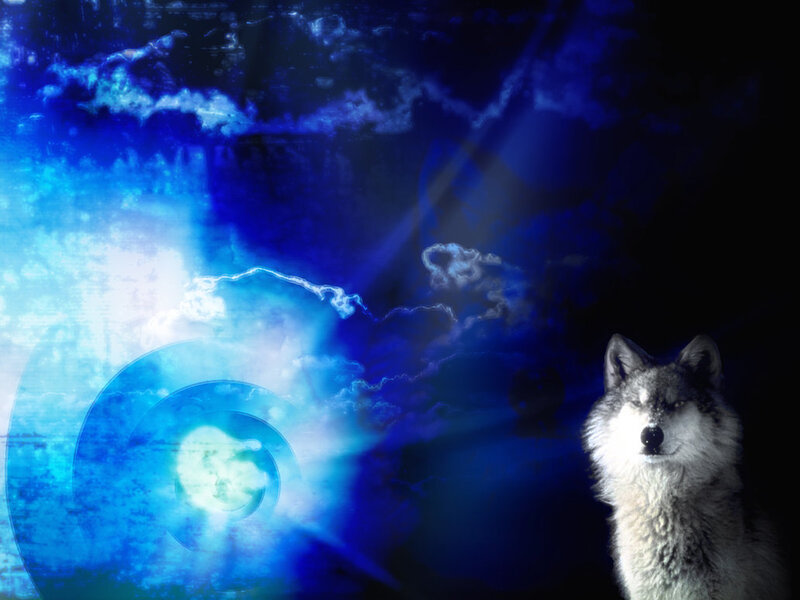 Wolf in Blue Light
