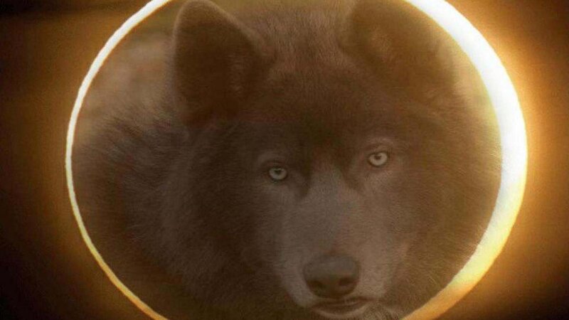 Wolf in Circular Frame